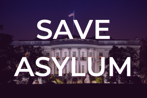 SAVE ASYLUM